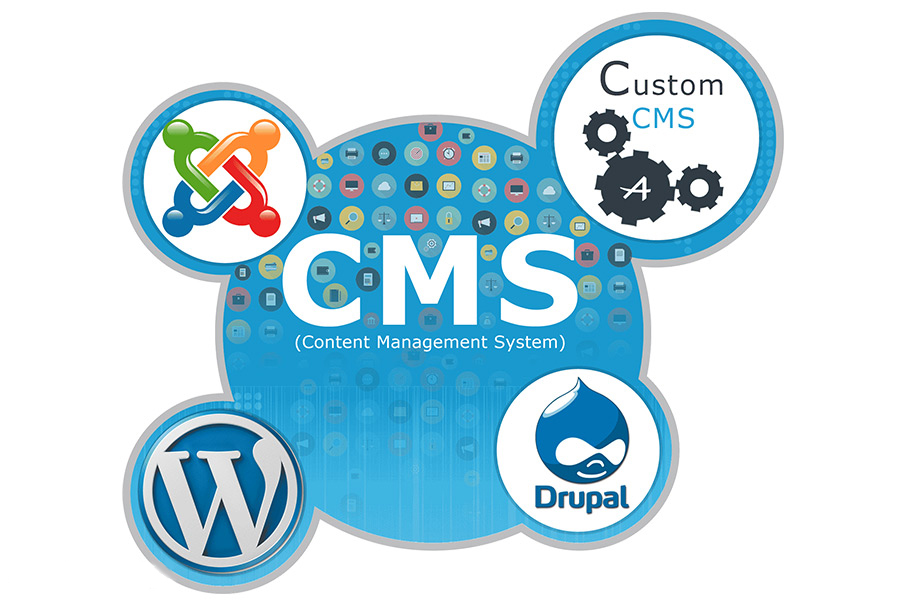 سایت ساز با وردپرس بهتر است یا CMS اختصاصی؟